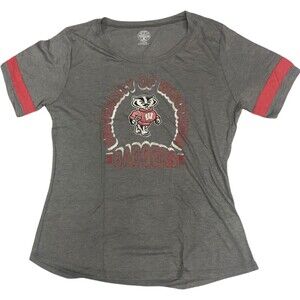 Wisconsin Badgers Womens T-Shirt Large 12/14 Gray Distressed Logo